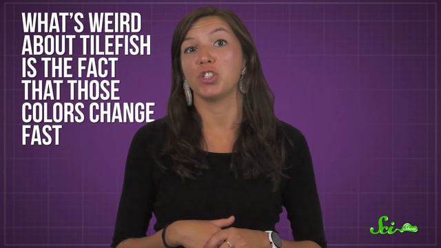 Technicolor Dream Fish: How Tilefish Flash смотреть онлайн
