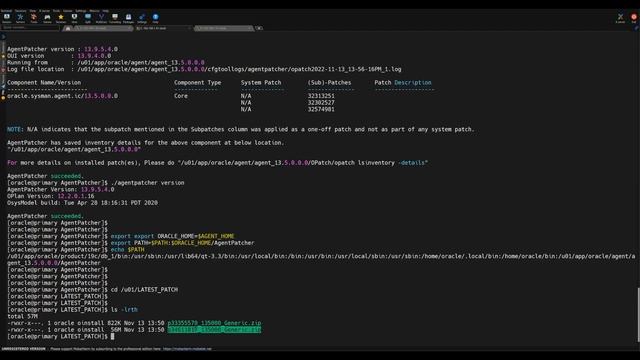 OEM Agent Patching step by step смотреть онлайн