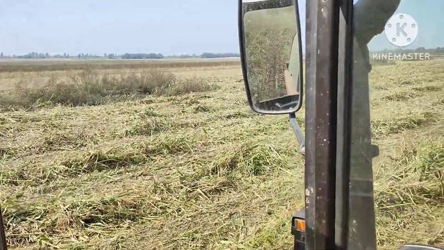 До косил гигантскую суданку сенокосилкой Pöttinger, трактор МТЗ 82.1 турбо. смотреть онлайн