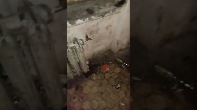 гуляем нелетаем машины нет смотреть онлайн