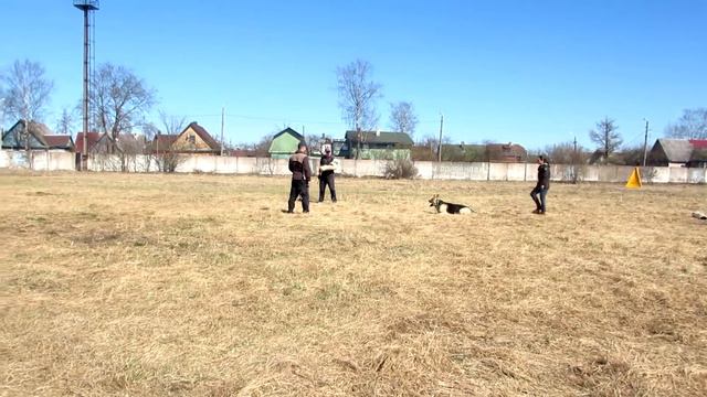 РЛ Кербер, фигурант А Соколов смотреть онлайн