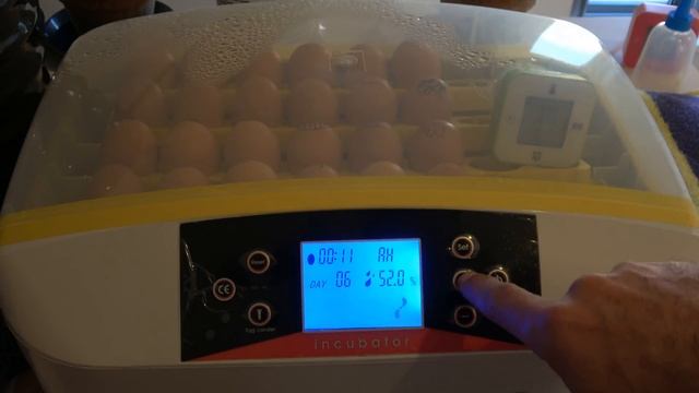 How To Use HHD 32 - 56 Automatic Egg Incubator And Solve Problems? Egg Incubation Part 1【4K】
