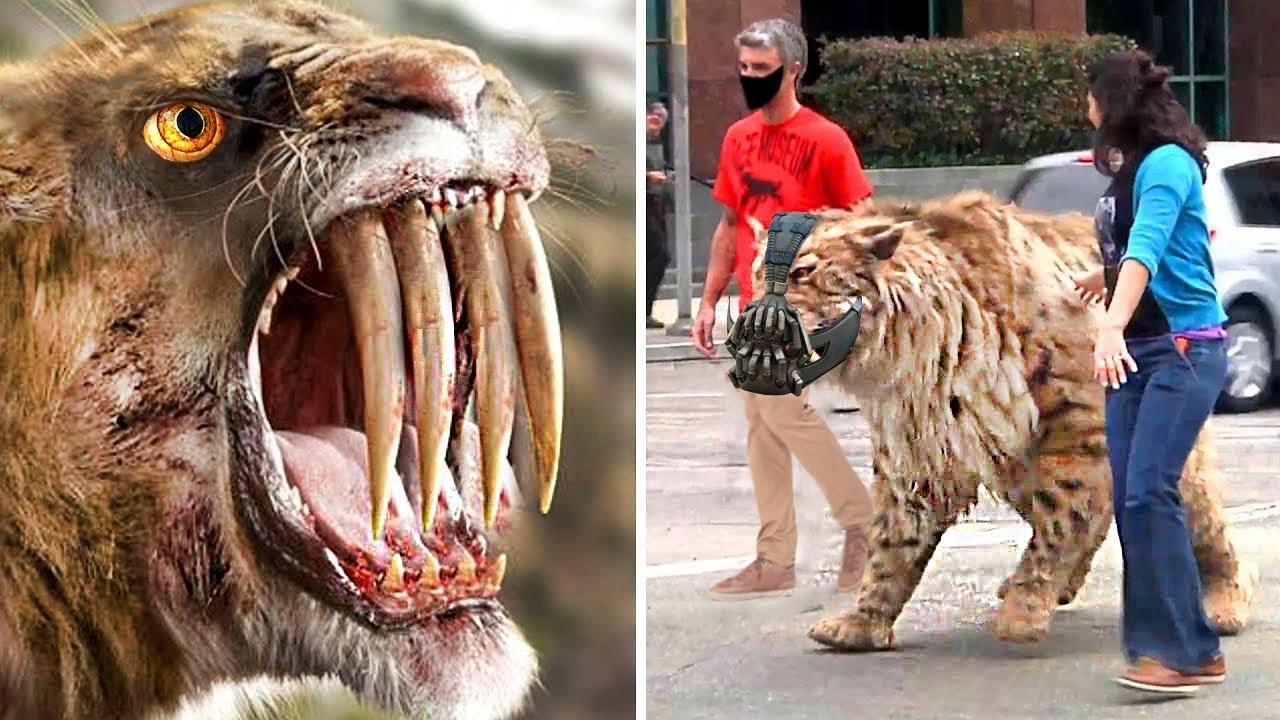 Животные, Которых Учёные Готовы Воскресить