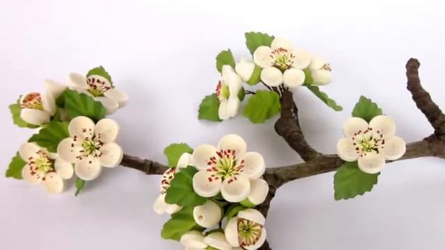 Quilling flowers Pear, Cherry, Plum- and Almond Blossoms (Part 2) смотреть онлайн