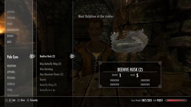 Modded Skyrim: Annoying Lady