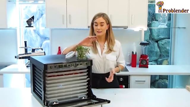 Веганские клубничные чипсы в дегидраторе Tribest Sedona Combo 9150 смотреть онлайн