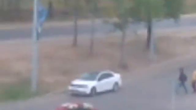 Они кто??? Дураки??? смотреть онлайн