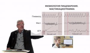 Евсеев А.В. Нормальная физиология. Лекция №24. Пищеварение в полости рта. Образование слюны. 2024