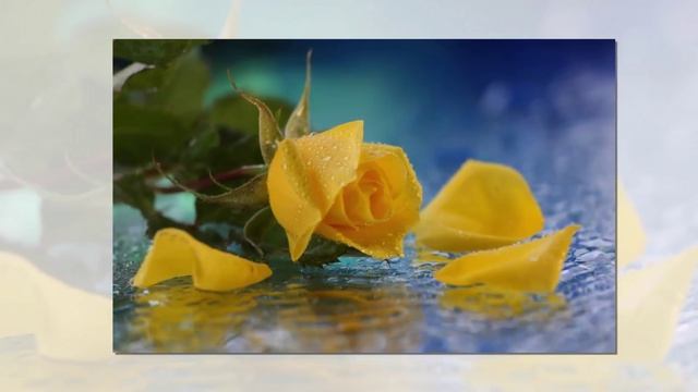 Медитация "Солнечное озеро" смотреть онлайн