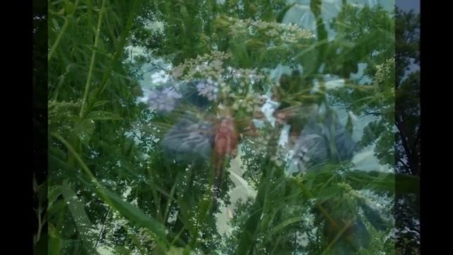 ЖИВЕТ НА СВЕТЕ КРАСОТА.wmv смотреть онлайн