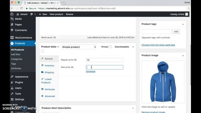 Adding A Sales Price In WooCommerce and WordPress I Advant Interactive WooCommerce Insights смотреть онлайн
