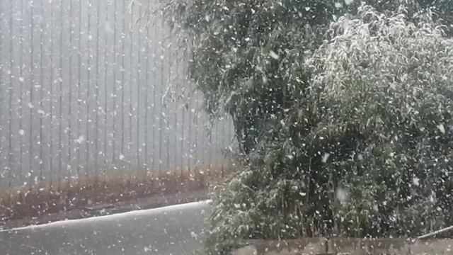 Снег в Сочи