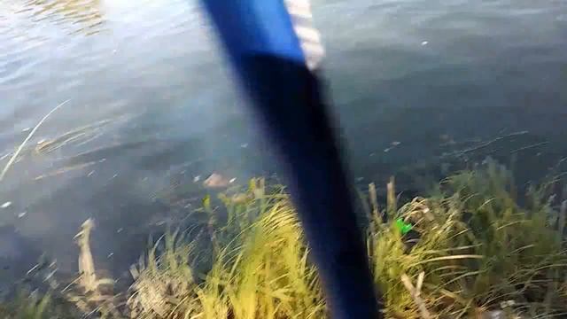 Рыбалка в Искитиме на реке Бердь. смотреть онлайн