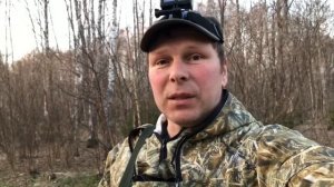 Охота на вальдшнепа в Московской области