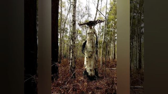 ЖУТКИЕ снимки, досмотреть которые смогут далеко не все смотреть онлайн