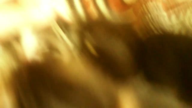 У котят открываются глаза. смотреть онлайн