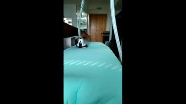 PART TWO HOW TO USE THE LAURASTAR IRON смотреть онлайн