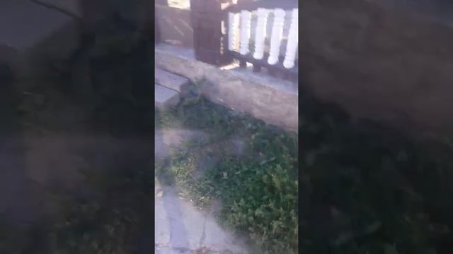 Перше відео Даніель призтав шоб я знімала відео про сирену смотреть онлайн