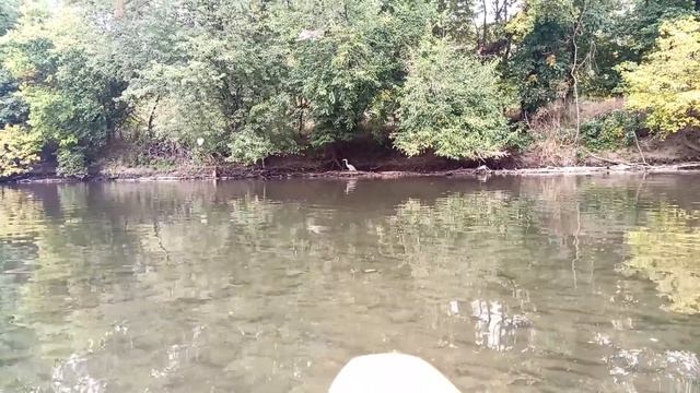 KAYAK VIDEO смотреть онлайн