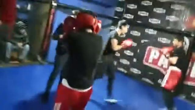 спаринг г ош смотреть онлайн