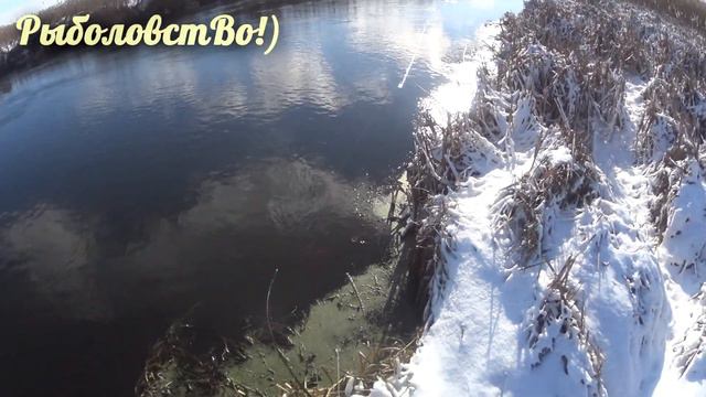 Спиннинг в -7! Морозная рыбалка на Северском Донце ! смотреть онлайн