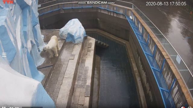 В такую погоду я лучше посижу в берлоге 13.08.2020 смотреть онлайн