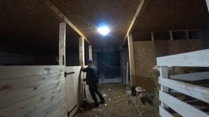 Построил большую ферму для лошадей и коз. Завели лошадей в новый дом