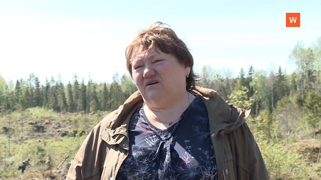 Выборгский район присоединился к Всероссийскому дню посадки леса смотреть онлайн