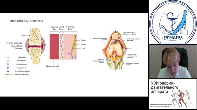 УЗИ опорно-двигательного аппарата смотреть онлайн