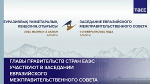 Главы правительств стран ЕАЭС участвуют в заседании Евразийского межправительственного совета