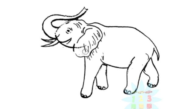 Нарисуй картинку тема животные учимся рисовать как рисовать животных How to draw Лев Слон Бегемот смотреть онлайн