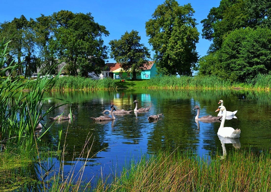 339.Шебсбурский карась.mp4 смотреть онлайн