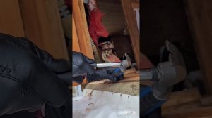 Повело дверь на даче. Как закрыть женскими силами.mp4