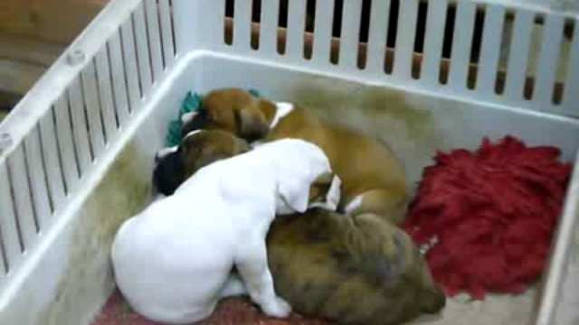 Ложитесь уже спать смотреть онлайн