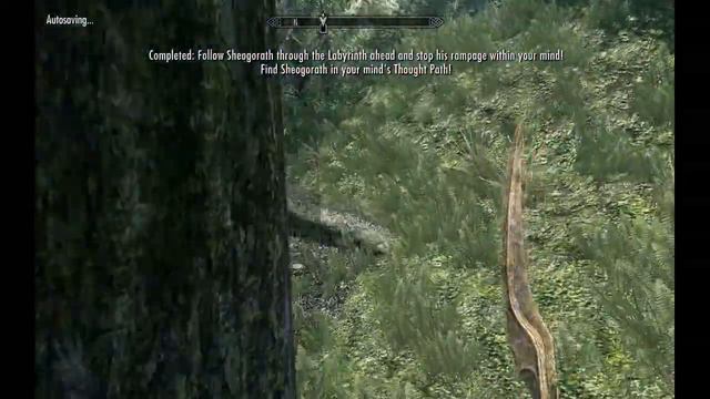 Let's Play Skyrim Mods: Know Thyself