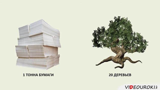 24 Лесная и деревообрабатывающая промышленность смотреть онлайн