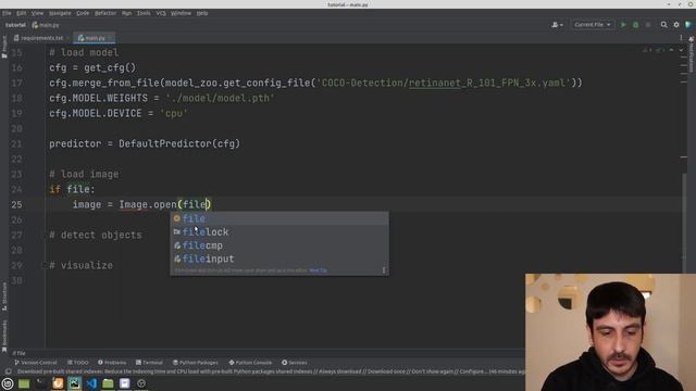 Object Detection Web Application with Python, Streamlit and Detectron2 | Computer vision tutorial смотреть онлайн