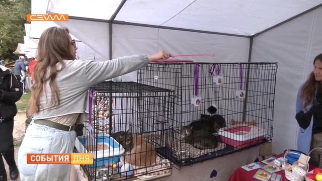 В Курской области у водяной мельницы 9 сентября прошёл День варенья смотреть онлайн