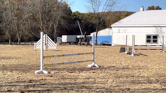 "EG Ita Vero" (Kannan x Cornet Obolensky) 10.22.2022 Schooling смотреть онлайн