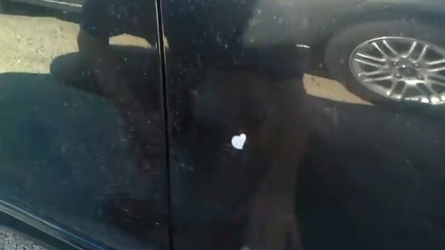 Tim At Gerber Auto Chicago Rocks! смотреть онлайн