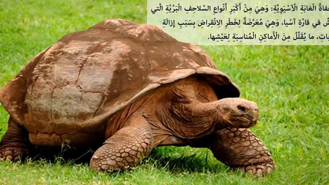 كائنات مُهَدَّدَةٌ بالانقراض (الجزء الأول)\ Endangered Animals (subtitled)