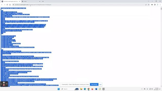 Turtles in Java смотреть онлайн