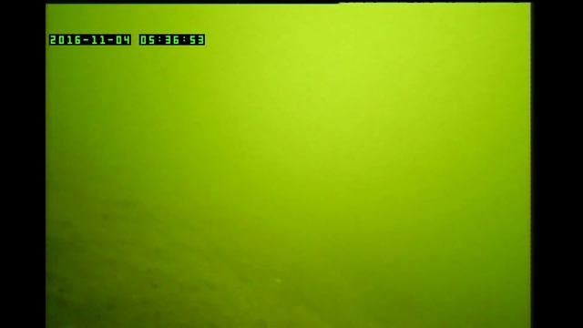 Лещ.Я удочки твоей кивок шатал смотреть онлайн