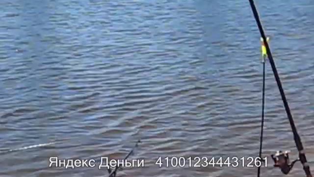 ЛОВЛЯ ЛЕЩА. ДОНКА смотреть онлайн