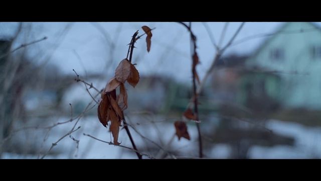 Барское поместье dog Барона Фон Жерьяла Жестана смотреть онлайн
