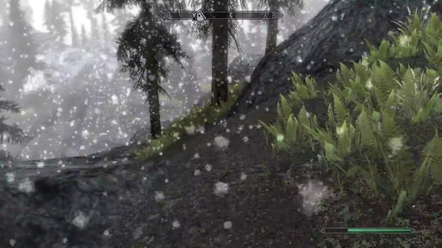 Прохождение TES 5.SKYRIM.Часть-24.Сборка модов.Вервольф и кольцо.