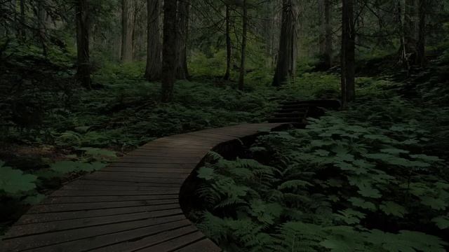 История для сна. Аудиорассказ история из жизни. Приехала на встречу с женихом на 30 минут раньше... смотреть онлайн