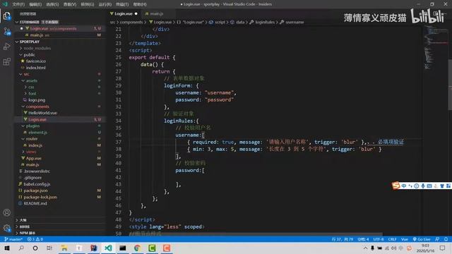 SpringBoot Vue 项目 P9 9 login校验规则 смотреть онлайн