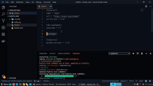 Pipenv | Entornos virtuales de Python 2019 смотреть онлайн