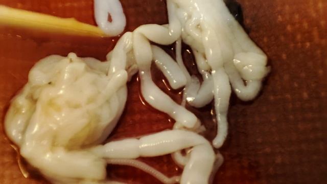 Впервые в пойманном чебаке обнаружил селитер. смотреть онлайн